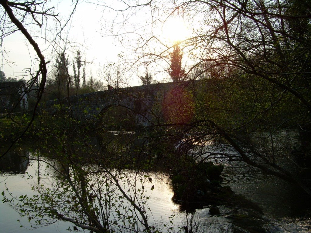 Puente de Cernadela entre los árboles de ribera by edoarado