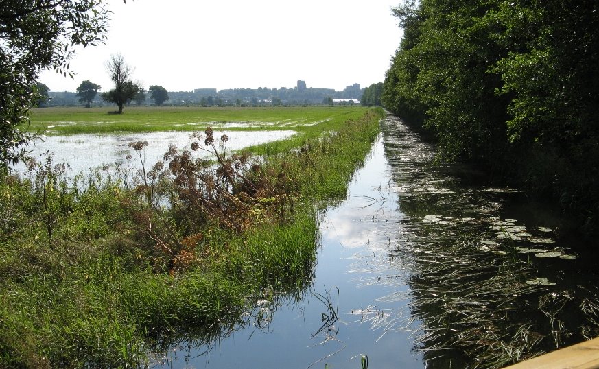 Hochwasser by Dieter Pöschl