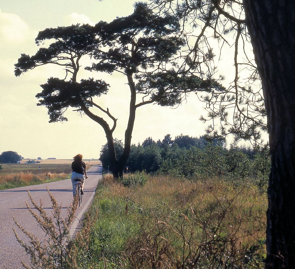 9520 Skørping, Denmark by Erling Als Nielsen