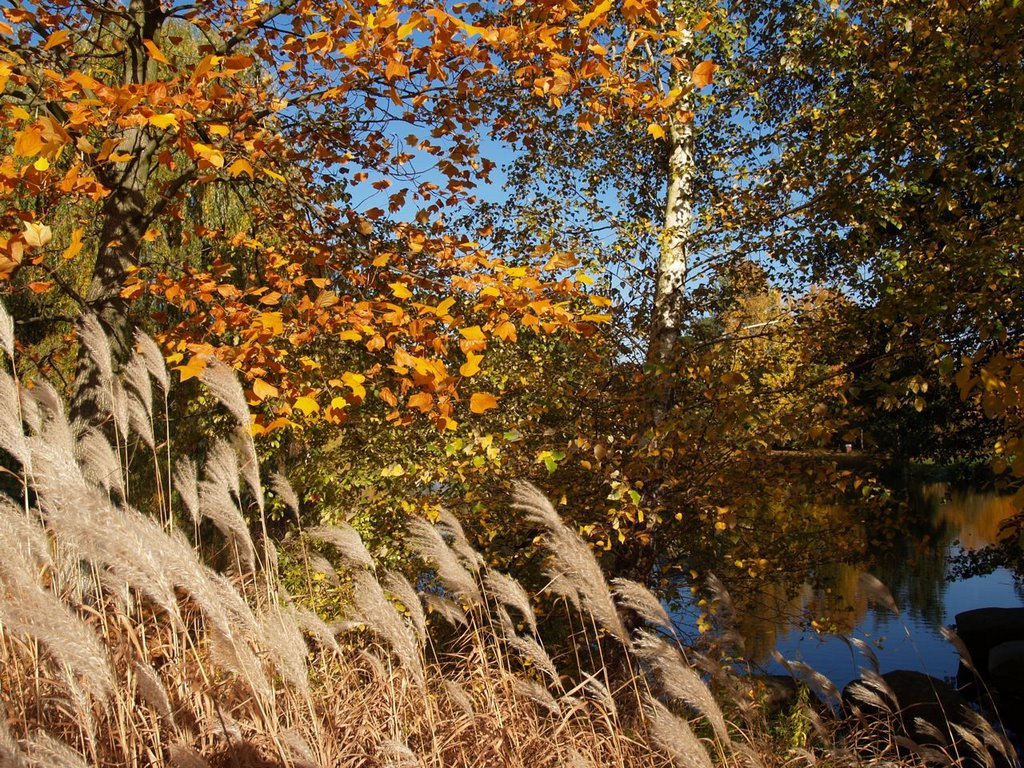 Herbstlich im Britzer Garten 200810 by Rainer Warzecha