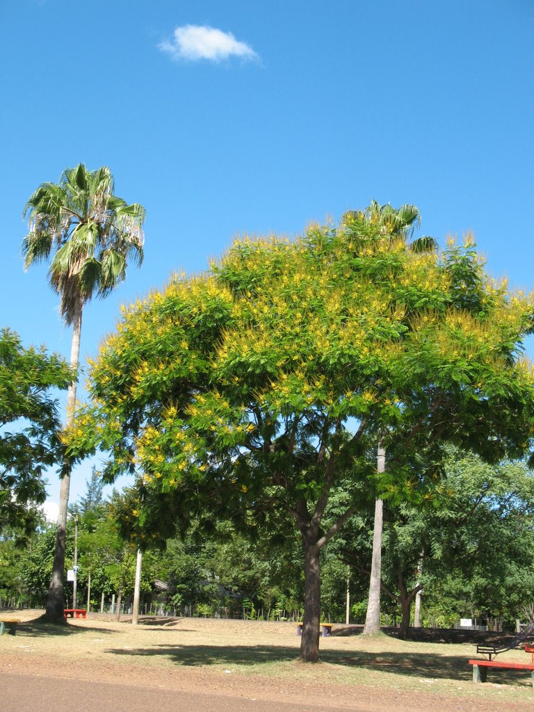 Flora Costanera Salto by SOL Latino