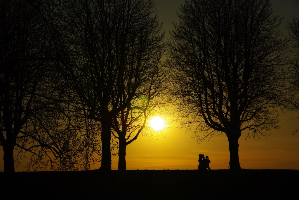 Der schönste Sonnenuntergang am Rhein by Viktor Löwens