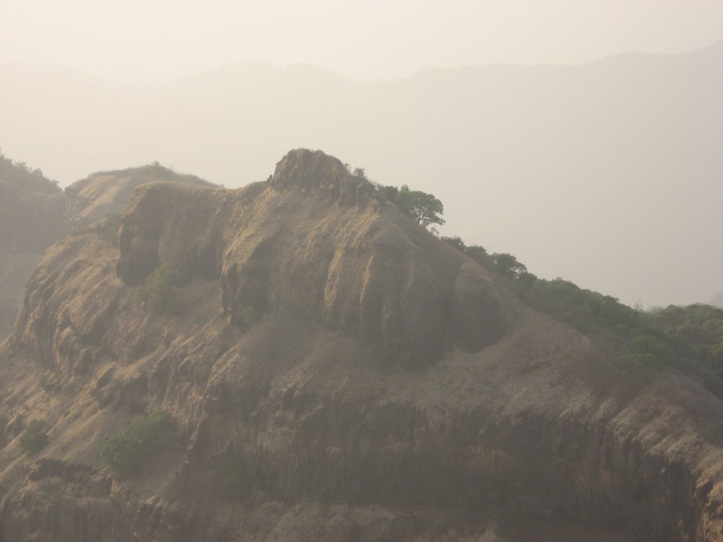 Dinosaur Hill en route Arthur Seat Point by vinaysinha