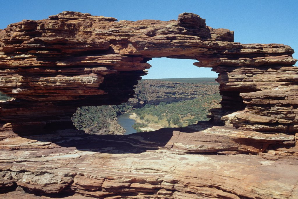 Nature´s Window by Georg Gollmann