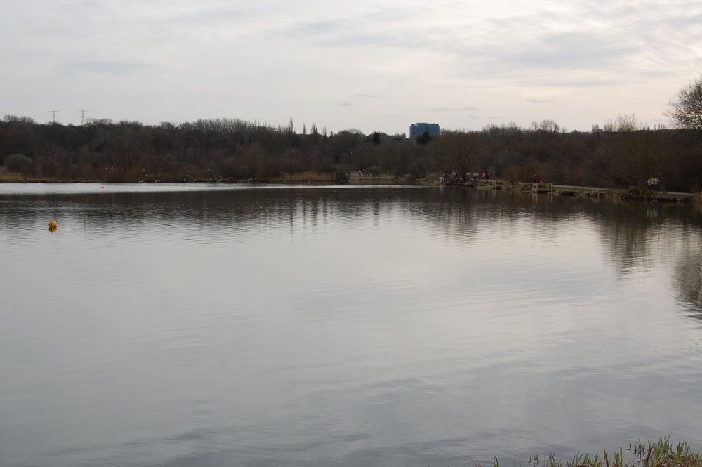 Sandwell Valley Nature Reserve by LindaEllis