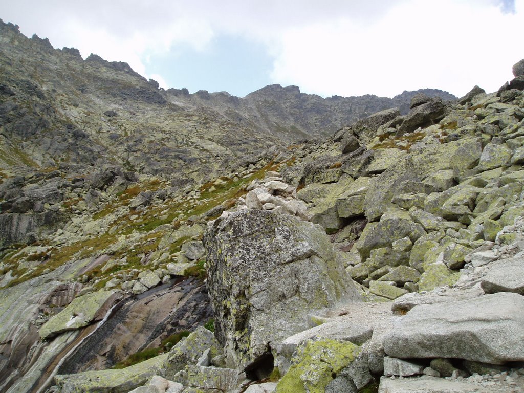 Pod Bystrým sedlom, Mlynická dolina (Vysoké Tatry) by © Ľudo T. 01.