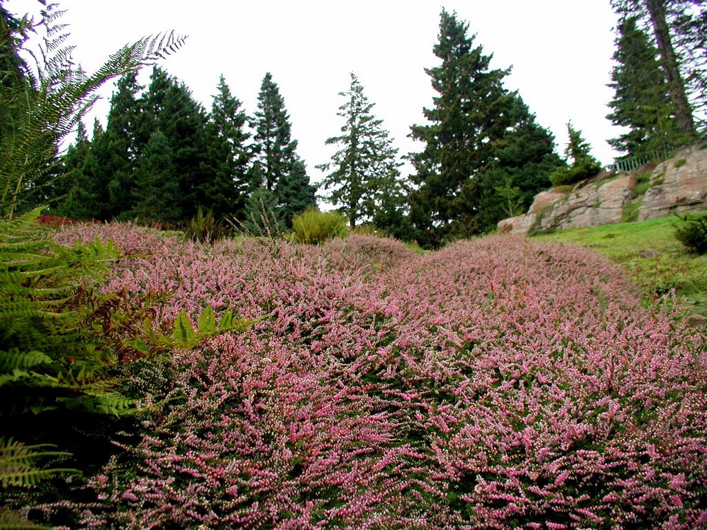 Ohme Gardens, Wenatchee, WA by Midnight Rider