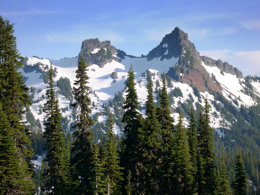 View from Mt. Rainier visitor center by Pedro Bulling