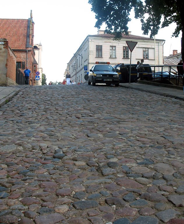 Street to the quay in Koŭna by Andrej Kuźniečyk