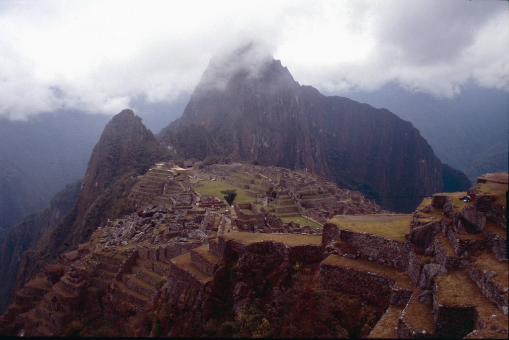 Machu Picchu by michael quintini