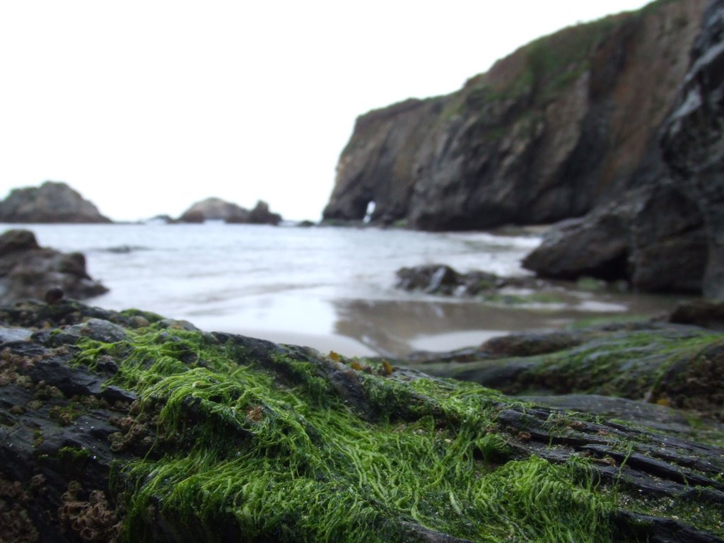 Playa de Valdepares by txafita