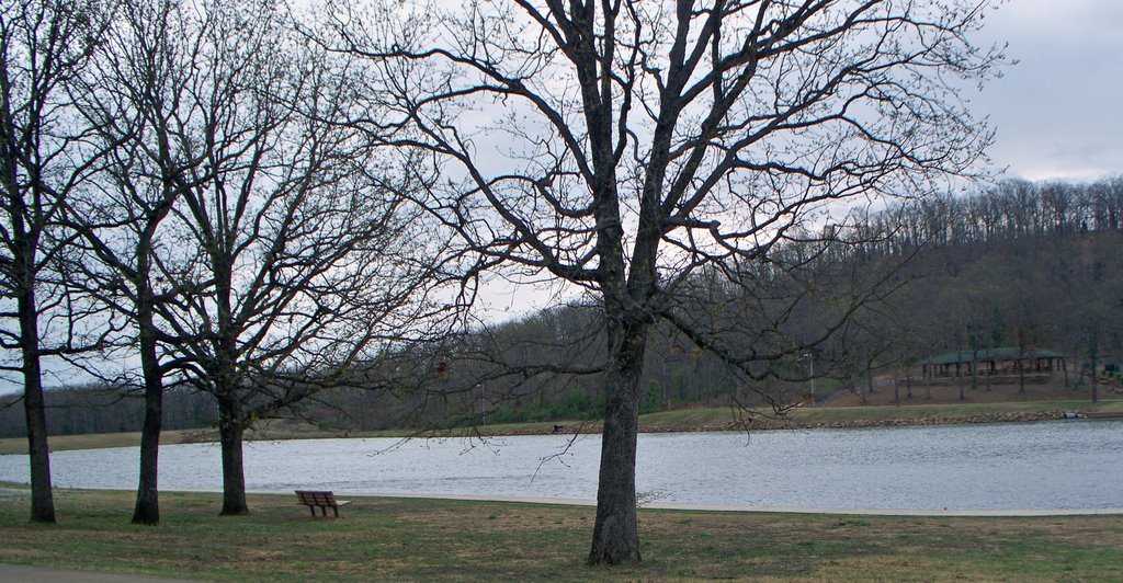 CAROL ANN CROSS PARK by © LK Kelley