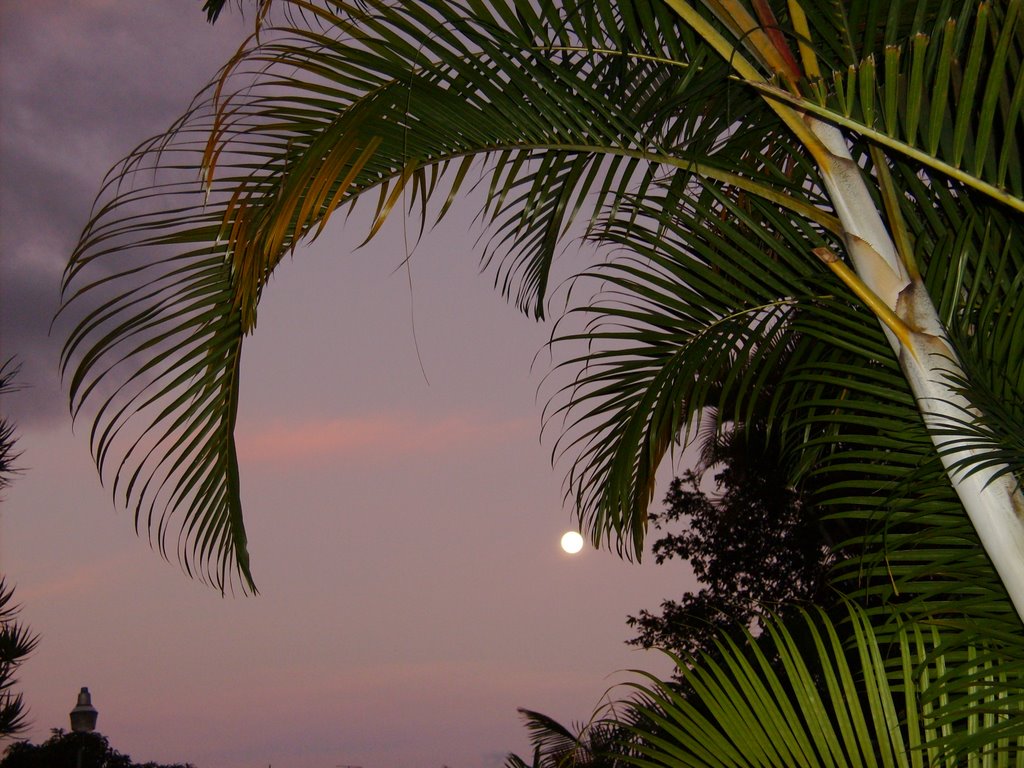 Moon from Costa Rica Backpackers by Johnny Montero Corde…