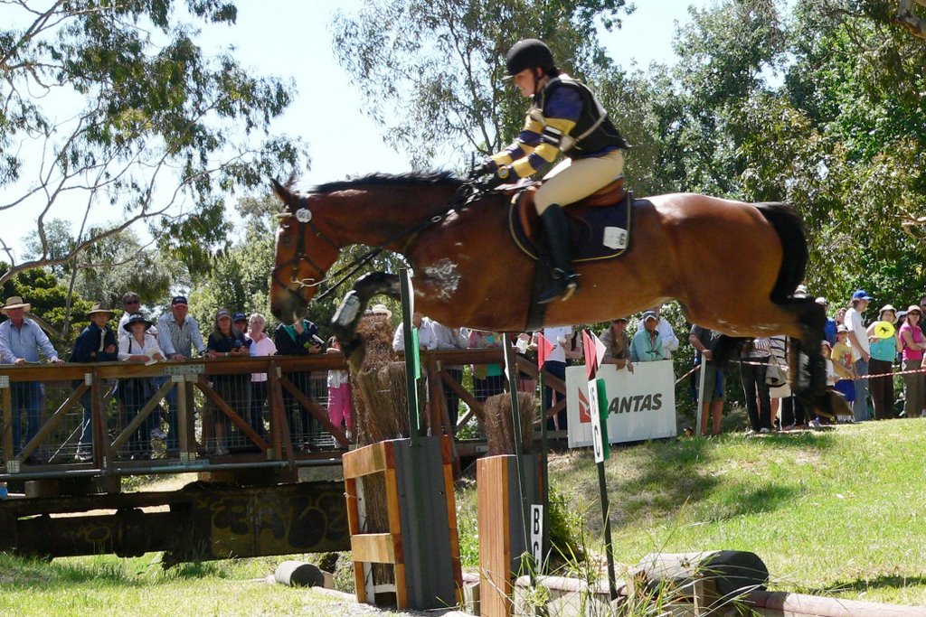 Adelaide Horse Trials by granthu