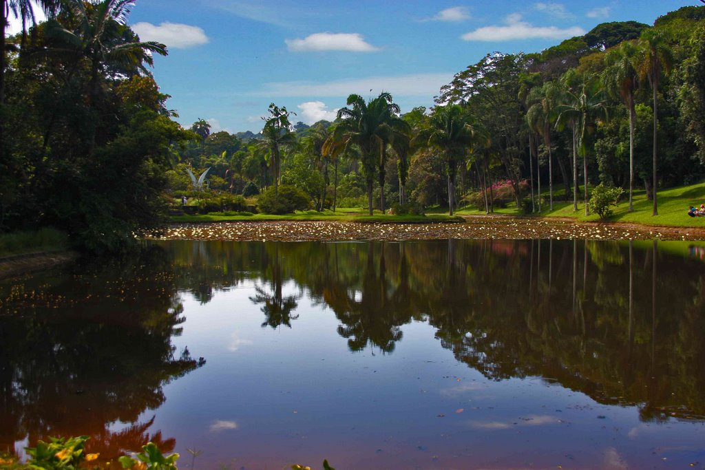 Lago Jardim Botânico by C_A_Andrade