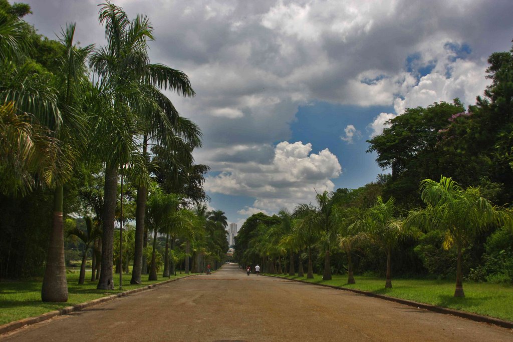 Jardim Botânico by C_A_Andrade