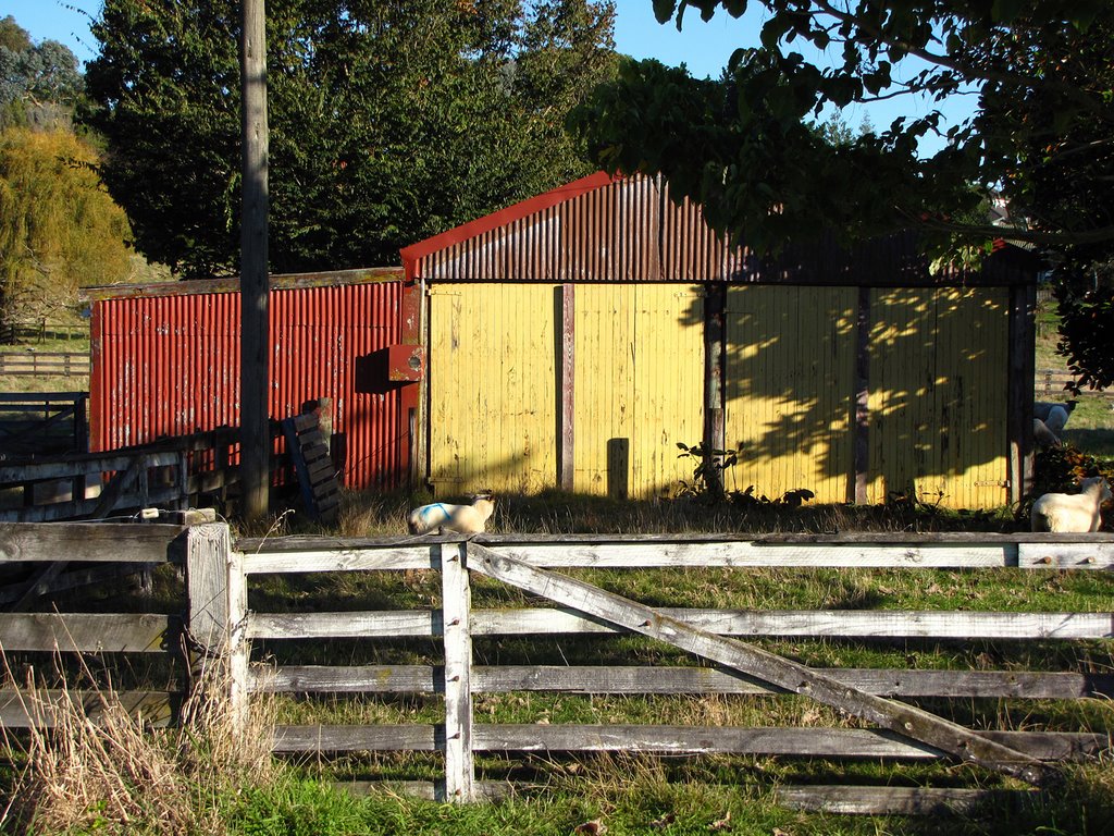 Peacocke's Rd Shed by Dave Moran