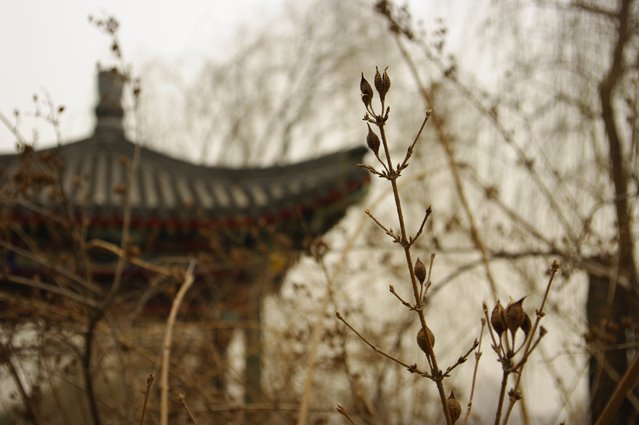 中国北京圆明园（Garden of Perfection and Brightness） by sangmigo