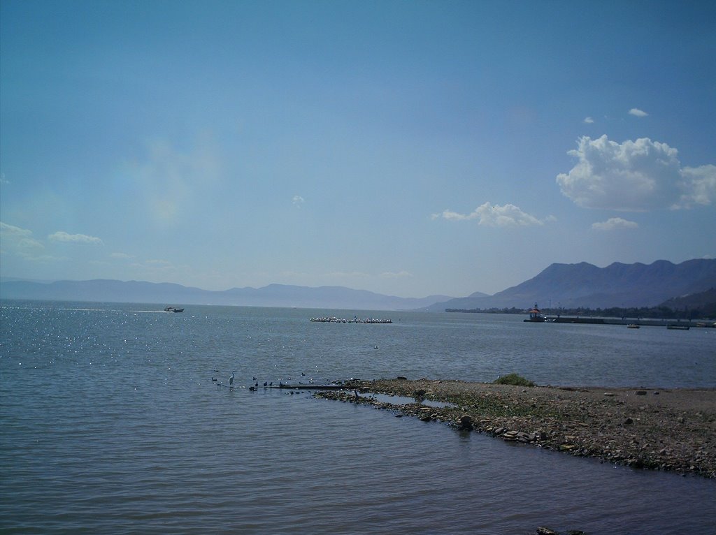 Chapala by Luis Carlos Garcia