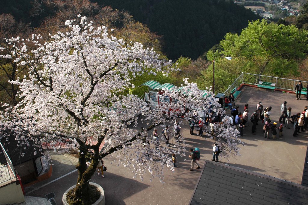 高尾山(Mt. Takao) by 9m2ji1etu