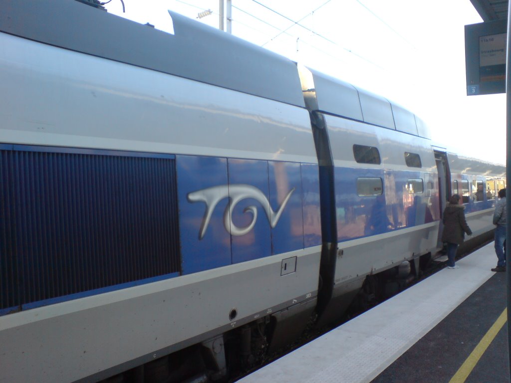 TGV Reims by Esref Demir