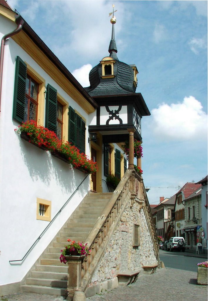 Deidesheim, Rathaus by Rainer I.