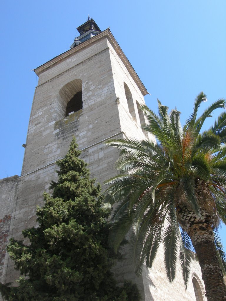 TORRE DE SAN PEDRO by J.L.Ruiz_Daimiel