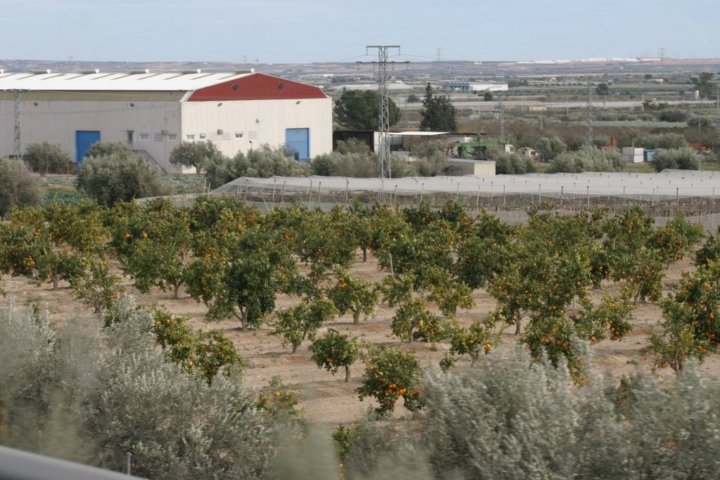 Around Alhama de Murcia 01 by Mihaly Barosi