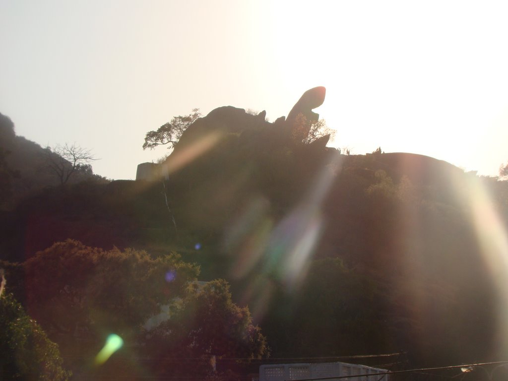 Toad Rock,Mount Abu by ashok ajmeri