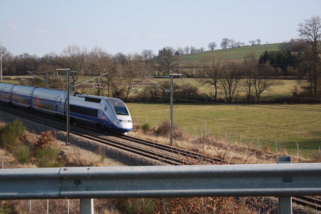 TGV by damien_71