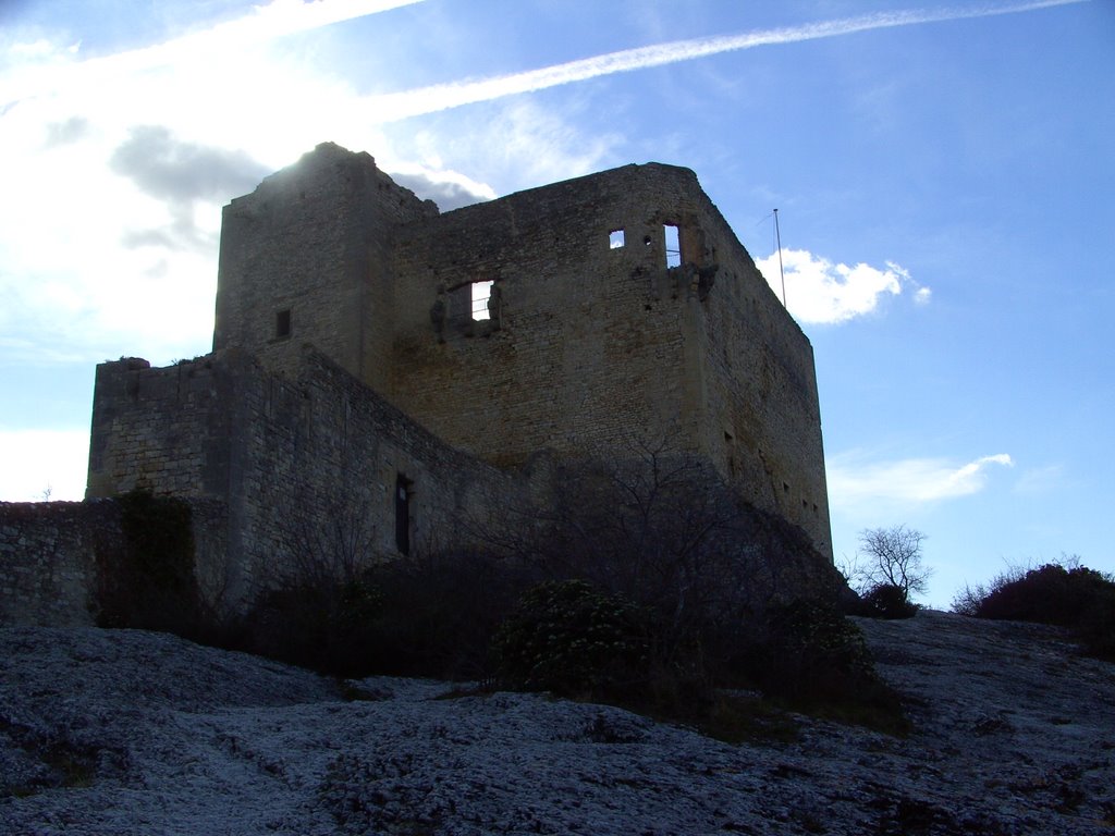 Sombre chateau by simon20a