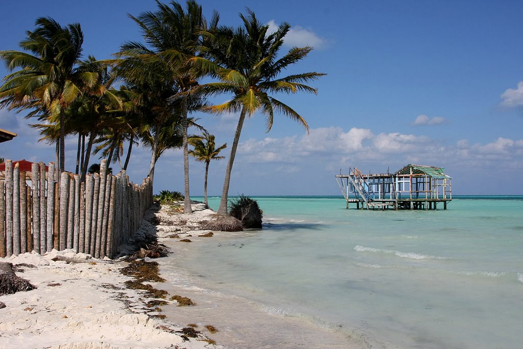 Cayo Guillermo Cuba February 2009 by Kazaniya КириллКа