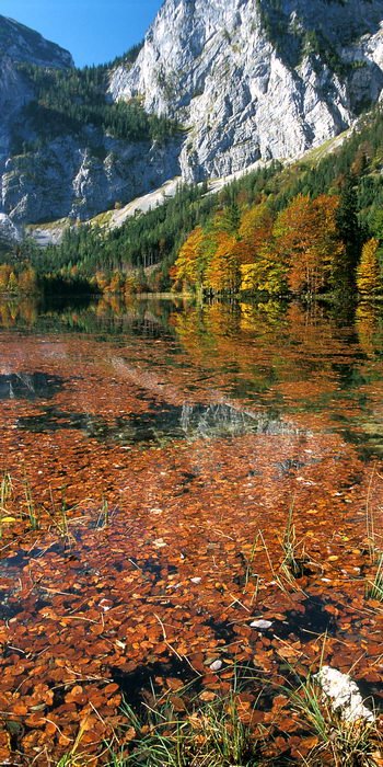 Hinterer Langbathsee - Herbst by MichaelHiller