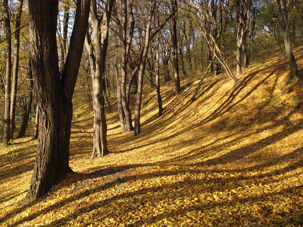 Kyiv - Autumn in Golosievo by Pavel Okhrimenko