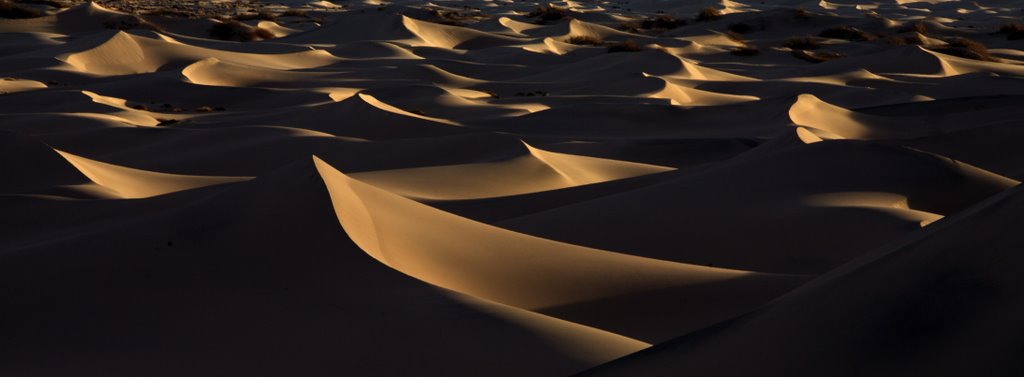 Mesquite Flat,Dawn light on Transverse Dunes/ Death Valley NP by JerryRodgers