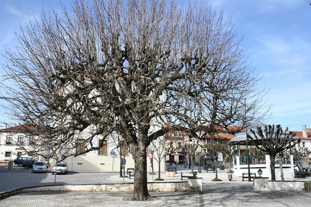 Figueiró dos Vinhos by Paulo Costa