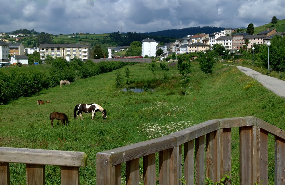 Paseo fluvial d´A Veiga by Suso Redondo