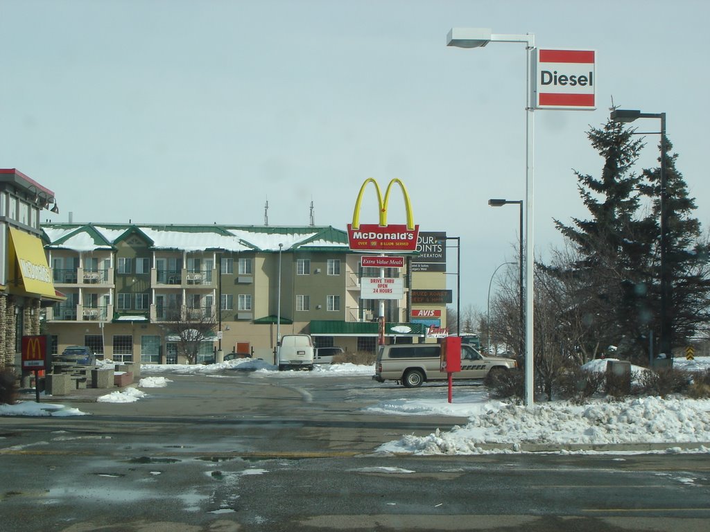 Sheraton Hotel Calgary N.W. by Tony Sterl