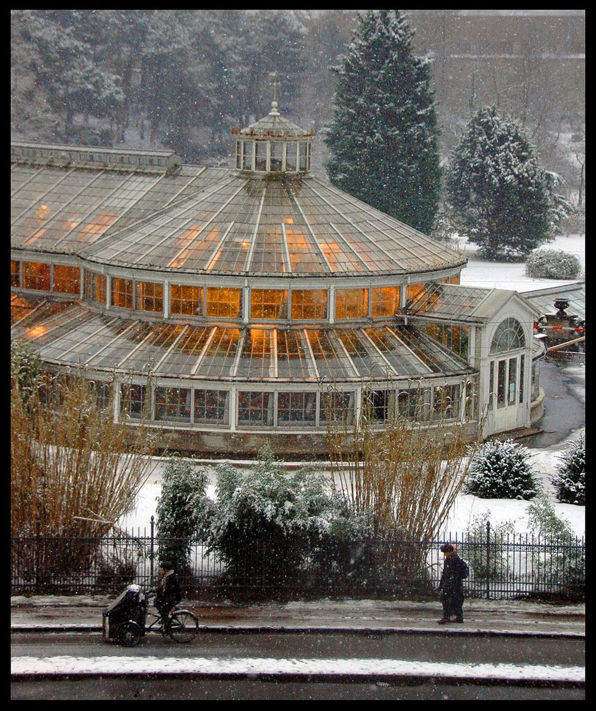 Botanical Garden, Copenhagen by Lui Brandt