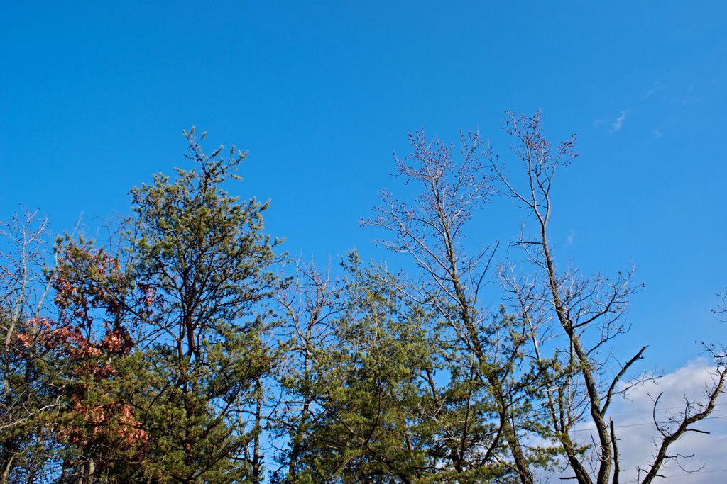 Virginia Crisp Fall Afternoon by krlovett