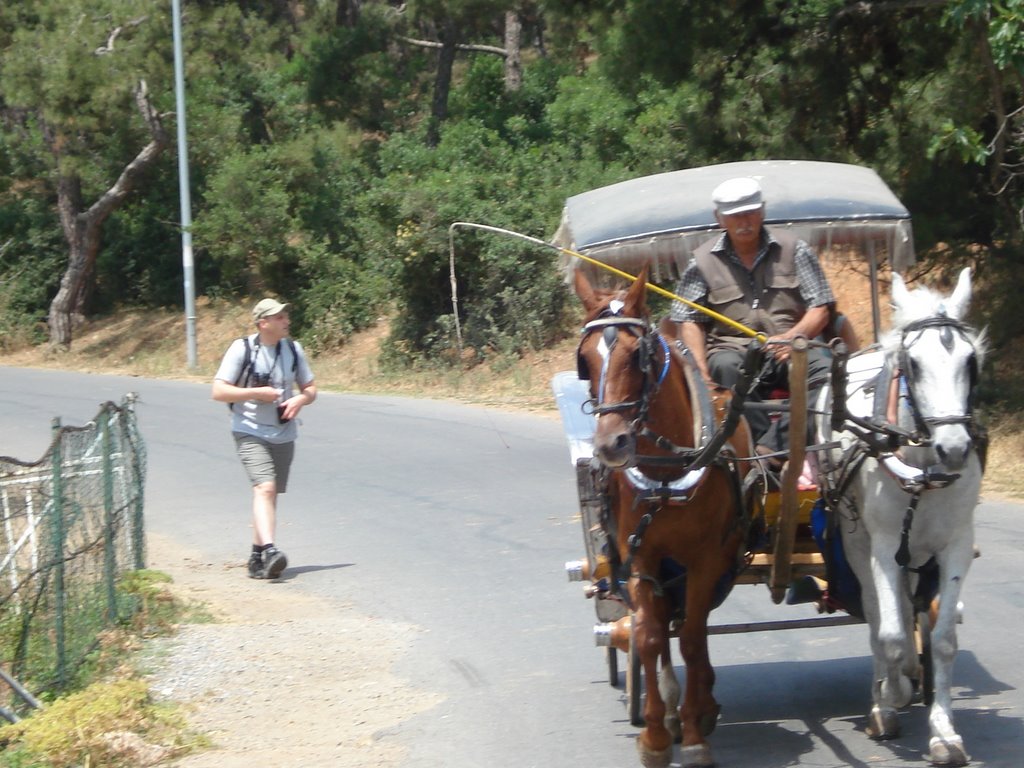 Horse Carraige 1 by syedjunaid