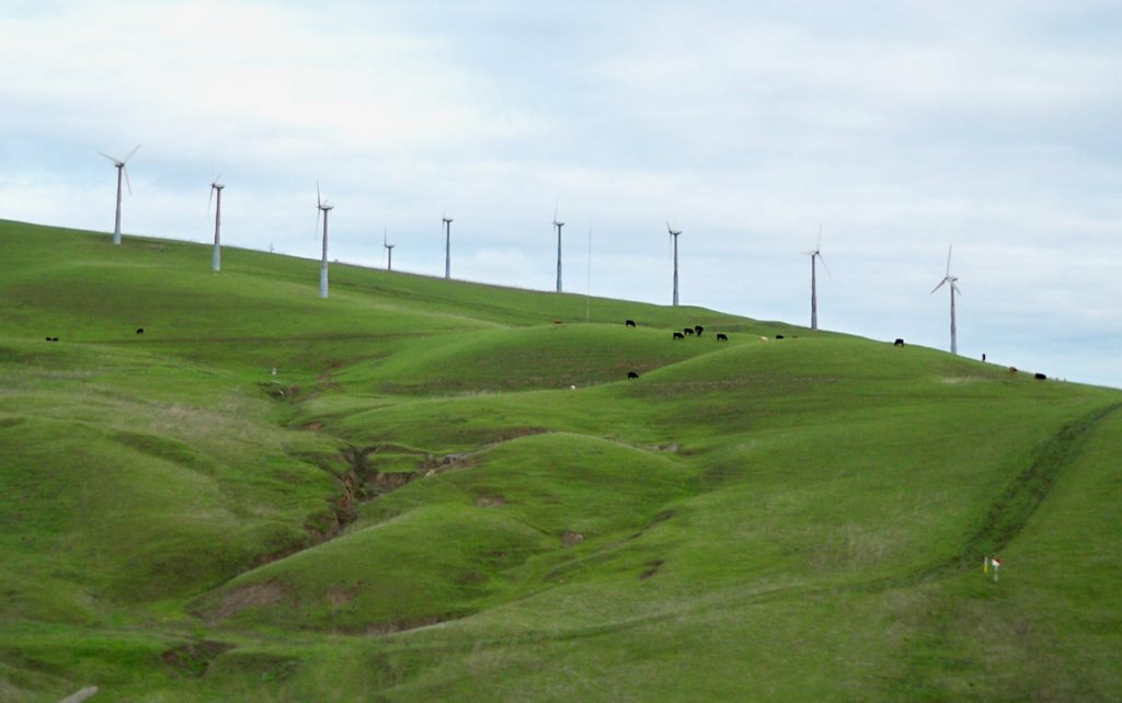 California Windmill Farm by ricraider