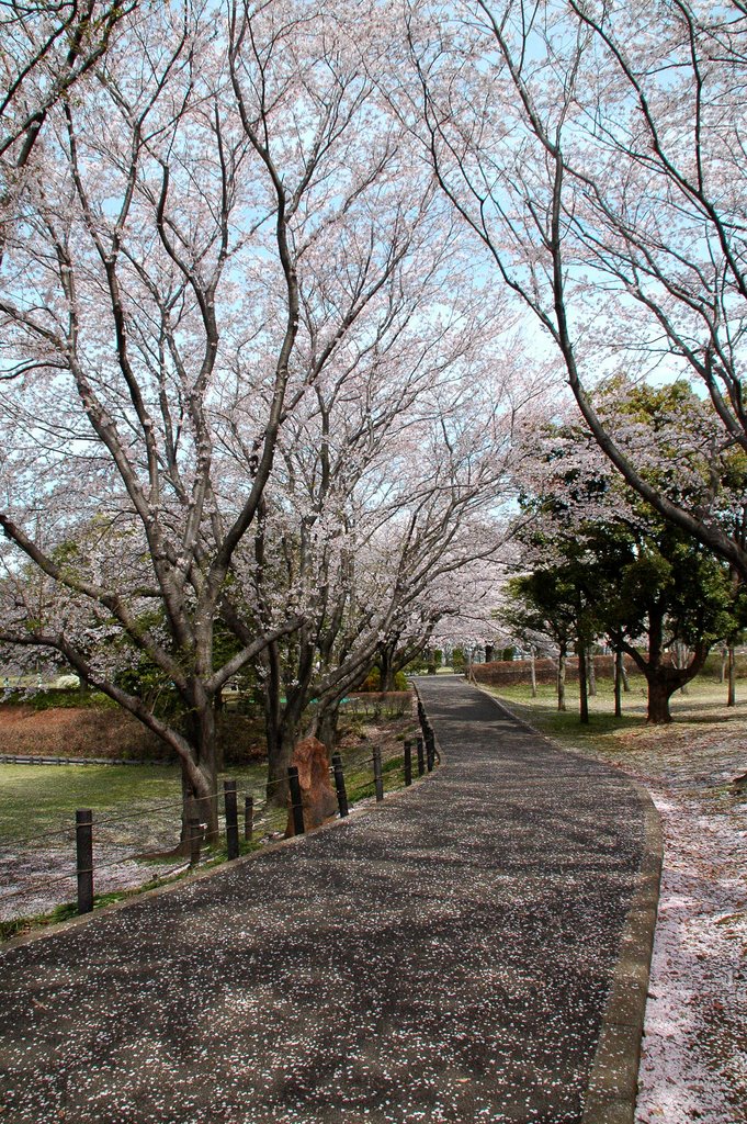 大庭城趾公園(Ooba-joushi park) by 9m2ji1etu