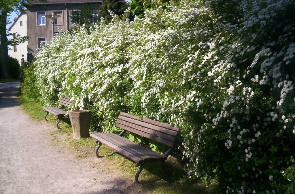 Bänke am Lustgarten by sisyma