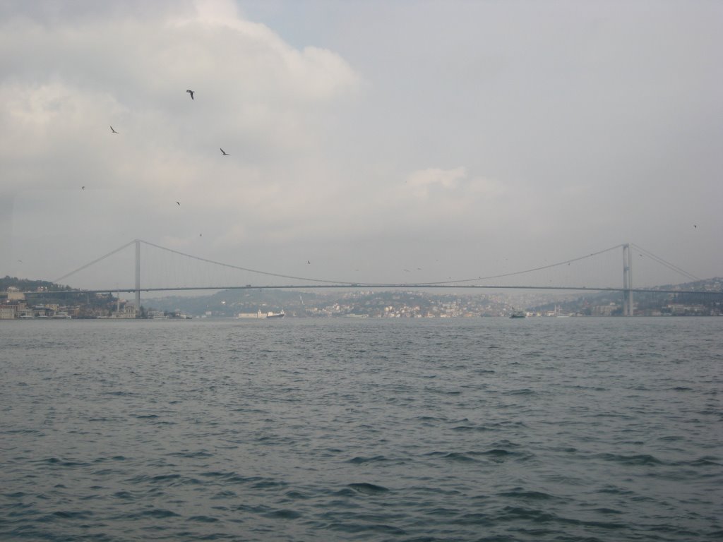 Bosphorus bridge by ahmetbc