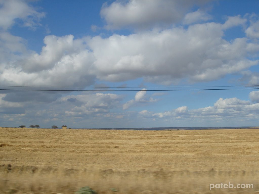 Algures no alentejo 2 by pateb