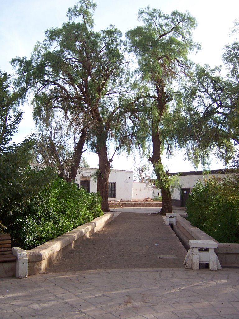 Plaza San Pedro de Atacama by René Bongard