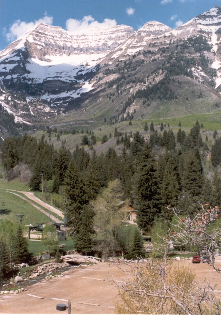 Sundance, UT by Picea Pungens