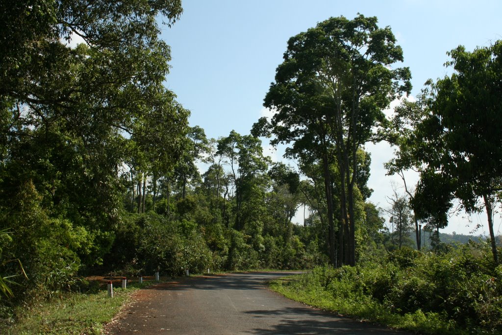 Quốc lộ 28, Đăk Som - National Road No. 28 across Dak Som Commune, Dak Glong Dist., Dak Nong by nguyen thanh vinh