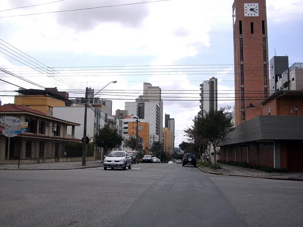 Bigorrilho, Curitiba - State of Paraná, Brazil by alex moreira